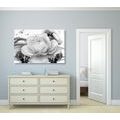 CANVAS PRINT LUXURY ROSE WITH AN ABSTRACTION IN BLACK AND WHITE - BLACK AND WHITE PICTURES - PICTURES