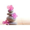 CANVAS PRINT BALANCE OF STONES AND PINK ORIENTAL FLOWERS - PICTURES FENG SHUI - PICTURES