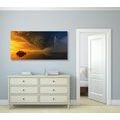 CANVAS PRINT CALM BEFORE THE STORM - PICTURES OF NATURE AND LANDSCAPE - PICTURES