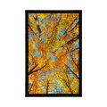 POSTER HERBSTLICHE BAUMKRONEN - NATUR - POSTER