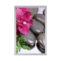 PLAKÁT KVETOUCÍ ORCHIDEJ A WELLNESS KAMENY - FENG SHUI - PLAKÁTY