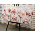 CANVAS PRINT OLD PINK TULIPS - PICTURES FLOWERS - PICTURES