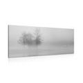 CANVAS PRINT TREES IN A FOG IN BLACK AND WHITE - BLACK AND WHITE PICTURES - PICTURES