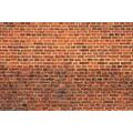 SELF ADHESIVE WALL MURAL ORANGE BRICK WALL - SELF-ADHESIVE WALLPAPERS - WALLPAPERS