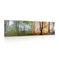 CANVAS PRINT FOUR SEASONS - PICTURES OF NATURE AND LANDSCAPE - PICTURES