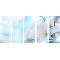 5-PIECE CANVAS PRINT WHITE LILY FLOWER ON AN ABSTRACT BACKGROUND - PICTURES FLOWERS - PICTURES