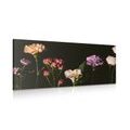 CANVAS PRINT ELEGANT FLOWERS ON A DARK BACKGROUND - PICTURES FLOWERS{% if product.category.pathNames[0] != product.category.name %} - PICTURES{% endif %}
