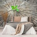 WALL MURAL BIRTH OF A NEW LIFE - WALLPAPERS NATURE - WALLPAPERS