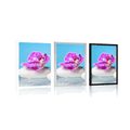 POSTER ORCHID AND ZEN STONES - FENG SHUI - POSTERS