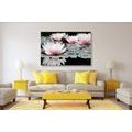 CANVAS PRINT LOTUS FLOWER - PICTURES FLOWERS - PICTURES