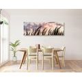 CANVAS PRINT SPIKES OF LONG GRASS - PICTURES OF NATURE AND LANDSCAPE - PICTURES