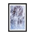 POSTER WITH MOUNT MACRO DANDELION - FLOWERS - POSTERS