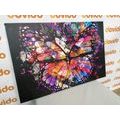 CANVAS PRINT UNUSUAL BUTTERFLY - POP ART PICTURES - PICTURES