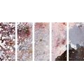 5-PIECE CANVAS PRINT ABSTRACTION IN SOFT TONES - ABSTRACT PICTURES - PICTURES