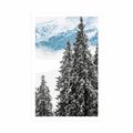 POSTER SNOWY PINE TREES - NATURE - POSTERS