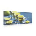 CANVAS PRINT MEXICAN TEQUILA - PICTURES OF FOOD AND DRINKS{% if product.category.pathNames[0] != product.category.name %} - PICTURES{% endif %}