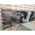 CANVAS PRINT ICONIC WATERFALL IN ICELAND IN BLACK AND WHITE - BLACK AND WHITE PICTURES - PICTURES