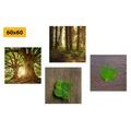 CANVAS PRINT SET BREEZE OF NATURE - SET OF PICTURES - PICTURES