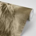 SELF ADHESIVE WALLPAPER AFRICAN LION IN SEPIA VERSION - SELF-ADHESIVE WALLPAPERS - WALLPAPERS