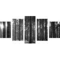 5-PIECE CANVAS PRINT MORNING IN THE FOREST IN BLACK AND WHITE - BLACK AND WHITE PICTURES - PICTURES