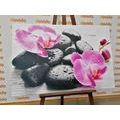 CANVAS PRINT BEAUTIFUL INTERPLAY OF STONES AND ORCHIDS - PICTURES FENG SHUI - PICTURES