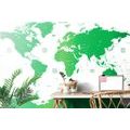 WALLPAPER WORLD MAP WITH INDIVIDUAL STATES IN GREEN - WALLPAPERS MAPS - WALLPAPERS