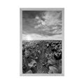POSTER SUNRISE OVER A MEADOW WITH TULIPS IN BLACK AND WHITE - BLACK AND WHITE - POSTERS