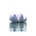 POSTER – FIORE DI LOTO - FIORI - POSTER