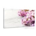 CANVAS PRINT BEAUTIFUL FLOWERS ON A MARBLE BACKGROUND - PICTURES FLOWERS - PICTURES