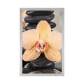 POSTER YELLOW ORCHID AND ZEN STONES - FENG SHUI - POSTERS