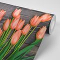 FOTOTAPETE ORANGE TULPEN AUF HÖLZERNEM HINTERGRUND - TAPETEN MIT BLUMENMOTIVEN - TAPETEN