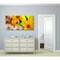 CANVAS PRINT SUMMER BOUQUET - PICTURES FLOWERS - PICTURES