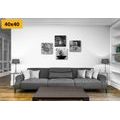 IMPRESSION SUR TOILE DANS LE STYLE FENG SHUI EN NOIR ET BLANC - ASSEMBLAGES DE PEINTURES SUR TOILE - IMPRESSION SUR TOILE