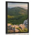 POSTER IN SONNE GETAUCHTE NATUR - NATUR - POSTER