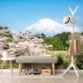 SELF ADHESIVE WALL MURAL FUJI VOLCANO - SELF-ADHESIVE WALLPAPERS - WALLPAPERS