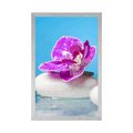 POSTER ORCHID AND ZEN STONES - FENG SHUI - POSTERS