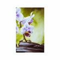 POSTER ZEN STONES AND AN ORCHID - FENG SHUI - POSTERS