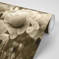 SELF ADHESIVE WALL MURAL SEPIA FIELD OF WILD POPPIES - SELF-ADHESIVE WALLPAPERS - WALLPAPERS