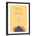 POSTER MIT PASSEPARTOUT UND STILVOLLER AUFSCHRIFT ALOE VERA - MOTIVE AUS UNSERER WERKSTATT - POSTER