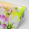 SELF ADHESIVE WALLPAPER GARDEN FLOWERS - SELF-ADHESIVE WALLPAPERS - WALLPAPERS