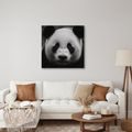WANDBILD PANDA AUF SCHWARZEM HINTERGRUND - BILDER TIERE - BILDER