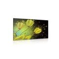 CANVAS PRINT FLOWERS OF GOLD - ABSTRACT PICTURES - PICTURES