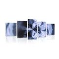 5-PIECE CANVAS PRINT ARTISTIC ABSTRACTION - ABSTRACT PICTURES{% if product.category.pathNames[0] != product.category.name %} - PICTURES{% endif %}