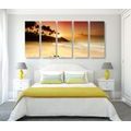 5-PIECE CANVAS PRINT SUNSET IN SRI LANKA - PICTURES OF NATURE AND LANDSCAPE - PICTURES