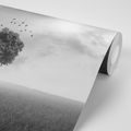 SELF ADHESIVE WALLPAPER LONELY BLACK AND WHITE TREE ON THE MEADOW - SELF-ADHESIVE WALLPAPERS - WALLPAPERS