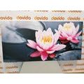 CANVAS PRINT LOTUS FLOWER IN A LAKE - PICTURES FLOWERS - PICTURES