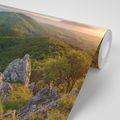 WALL MURAL NATURE BATHED IN THE SUN - WALLPAPERS NATURE - WALLPAPERS