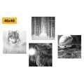 CANVAS PRINT SET MYSTERIOUS WOLF IN BLACK AND WHITE - SET OF PICTURES - PICTURES