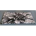 5-PIECE CANVAS PRINT EXOTIC DAHLIAS IN BLACK AND WHITE - BLACK AND WHITE PICTURES{% if product.category.pathNames[0] != product.category.name %} - PICTURES{% endif %}
