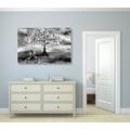 CANVAS PRINT HERONS UNDER A MAGICAL TREE IN BLACK AND WHITE - BLACK AND WHITE PICTURES - PICTURES